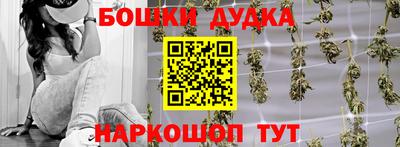 индика Шелехов