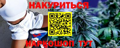 индика Шелехов