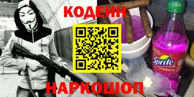 индика Шелехов